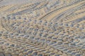 Tire tracks in the sand from a tank or excavator Royalty Free Stock Photo