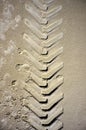 Tire tracks on sand. Tread imprints Royalty Free Stock Photo