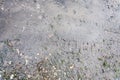 Tire tracks on the sand. Wheel tracks on dirt. Dark tire tracks background with snow and water. Wheel track on muddy Royalty Free Stock Photo