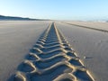 Tire tracks on smooth sandy deserted beach Royalty Free Stock Photo