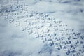 Tracks on the snow