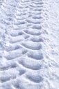 Tire Tracks in the Snow Royalty Free Stock Photo