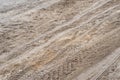 Tire tracks truck on a dirt road