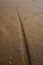 Tire tyre tread print on beach sand Royalty Free Stock Photo