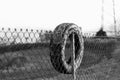 Tire on the wire mesh fence Royalty Free Stock Photo