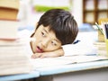 Tired asian elementary schoolboy