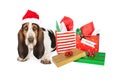 Tired Basset Santa With Gifts