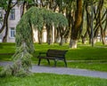 Tired Christmas tree in the park of the city of Pskov Royalty Free Stock Photo