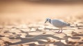 Tired Dove: A Spectacular Pigeoncore Journey Through The Desert Royalty Free Stock Photo