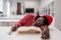 Tired exhausted African guy student falling asleep while studying in library Royalty Free Stock Photo