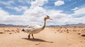 Tired Goose In Charming Desert Scene