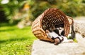 Tired kitten sleeping in shadow, resting on its back in funny position hidden in vintage vicker basket Royalty Free Stock Photo