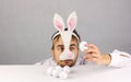 Tired man in the mask Easter Bunny looking at the egg Royalty Free Stock Photo