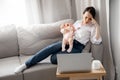 Tired mother working on laptop notebook at office home during baby crying. Toddler tantrum lifestyle Royalty Free Stock Photo