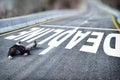 Tired powerless man in black jacket and grey trousers fallen on road overcome deadline title written on asphalt