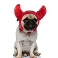 Tired Pug puppy wearing headband with fluffy devil horns