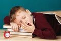 Tired school boy asleep on books. little student sleeping on tex Royalty Free Stock Photo