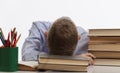 A tired schoolboy sits at a table and rested his head on textbooks. White background. Panorama format Royalty Free Stock Photo