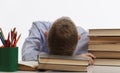 A tired schoolboy sits at a table and rested his head on textbooks. White background. Panorama format