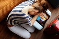 Tired stylish woman relaxing on over packed suitcase Royalty Free Stock Photo