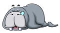 The tired walrus is sleeping and dreaming in the night day Royalty Free Stock Photo