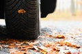 Tires with leaves and car on wet road in autumn season. Foggy and dangerous driving - concept for traffic and road safety