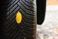 Tires with leaves and car on wet road in autumn season. Foggy and dangerous driving - concept for traffic and road safety