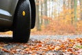 Tires with leaves and car on wet road in autumn season. Foggy and dangerous driving - concept for traffic and road safety