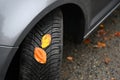 Tires with leaves and car on wet road in autumn season. Foggy and dangerous driving - concept for traffic and road safety