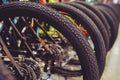 Tires Mountain bike wheel rear end stand in a row. Part of the mountain bike is a tire in close range Royalty Free Stock Photo