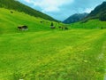 Tirol Austria countryside green grass hills