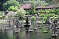 Tirta Gangga Water Palace in Bali