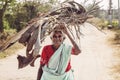 Indian senior woman carying wood on her head Royalty Free Stock Photo