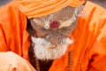 TIRUVANNAMALI, TAMIL NADU, INDIA - MARCH Circa, 2018 . Portrait Sadhu at Ashram Ramana Maharshi. Sadhu is a holy man, who have cho Royalty Free Stock Photo