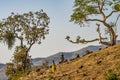 Tis Issat, Ethiopia - Feb 05, 2020: People living near the Blue Nile falls, Tis-Isat in Ethiopia, Africa
