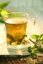 Tisane of fresh nettles in boiling water