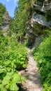 Tisitei gorge in Vrancea county Romania Royalty Free Stock Photo