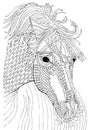 Horse head, adult coloring page Royalty Free Stock Photo