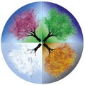 Vector animation of four seasons, tree in all forms;