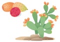 Opuntia. Prickly pear. Isolated