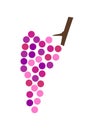 Vector illustration of bunch of red grape vine Royalty Free Stock Photo