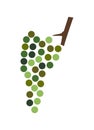 Vector illustration of bunch of green or white grape vine Royalty Free Stock Photo