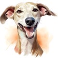 Drawn and Colored of Cute Azawakh Dog Portrait on White Background - Isolated