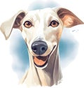 Drawn and Colored of Cute Azawakh Dog Portrait on White Background - Isolated