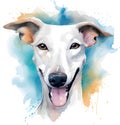 Drawn and Colored of Cute Azawakh Dog Portrait on White Background - Isolated