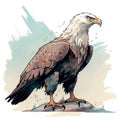 Drawn and Colored of Bald Eagle on White Background Royalty Free Stock Photo