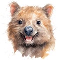 Drawn and Colored of Cute Little Wombat Portrait on White Background Royalty Free Stock Photo