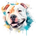 Drawn and Colored of Cute Staffordshire Bull Terrier Dog Portrait on White Background Royalty Free Stock Photo