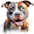 Drawn and Colored of Cute Staffordshire Bull Terrier Dog Portrait on White Background Royalty Free Stock Photo
