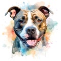 Drawn and Colored of Cute Staffordshire Bull Terrier Dog Portrait on White Background Royalty Free Stock Photo